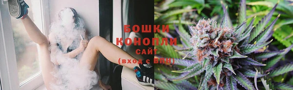 прущая мука Михайлов