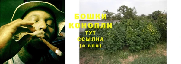 трава Михайловск