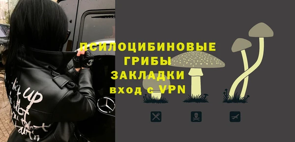 прущая мука Михайлов