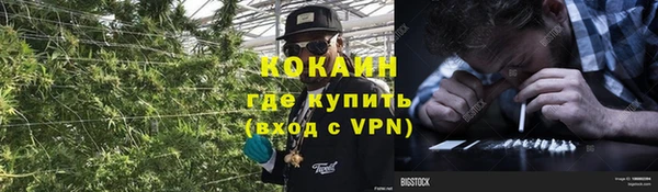 трава Михайловск