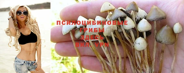 прущая мука Михайлов